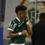 Na despedida de Estêvão do Allianz, Palmeiras confirma classificação e 100% com goleada