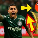 dudu palmeiras